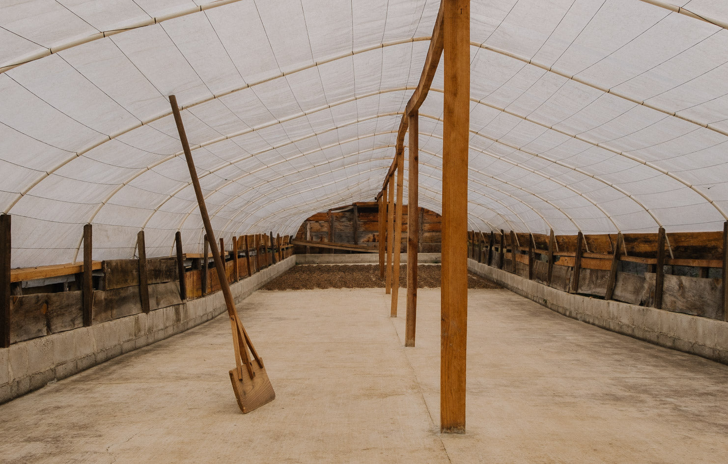 An Everyday Luxury: Guatemala Teodoro Engelhardt