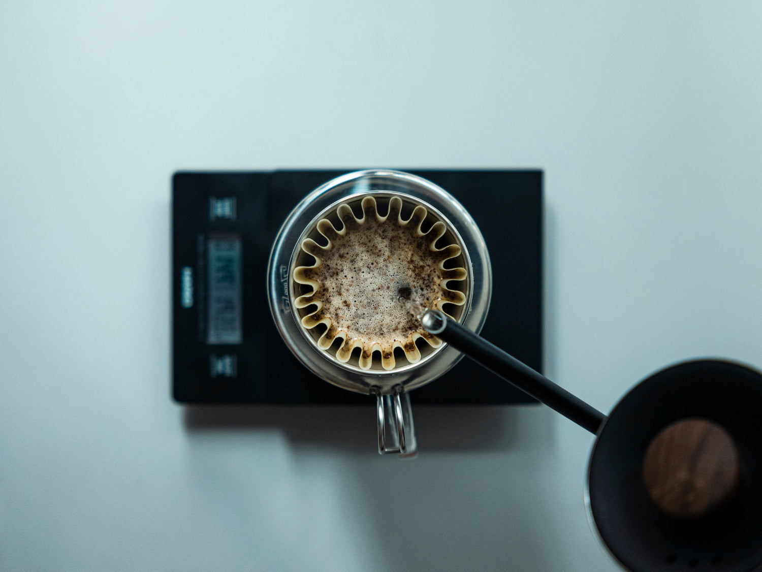 How to brew with Kalita Wave by kurasu.pro 2023