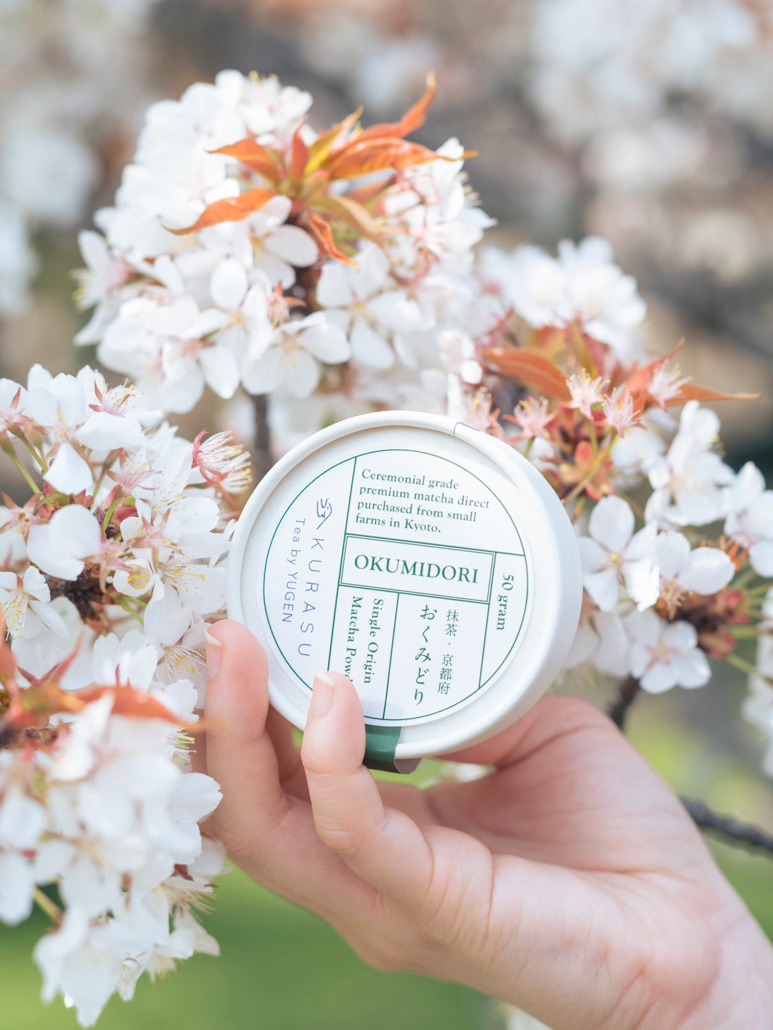 Green Spring Resolutions: Essentials to Start Your Matcha Green Tea Journey at Home