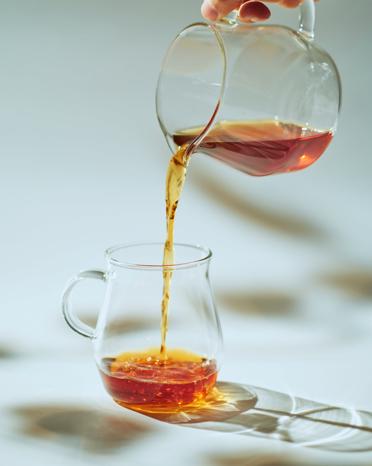 TORCH  Pitchii GLASS MUG