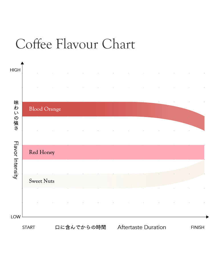 Colombia Hermides Meneses[Light roast]