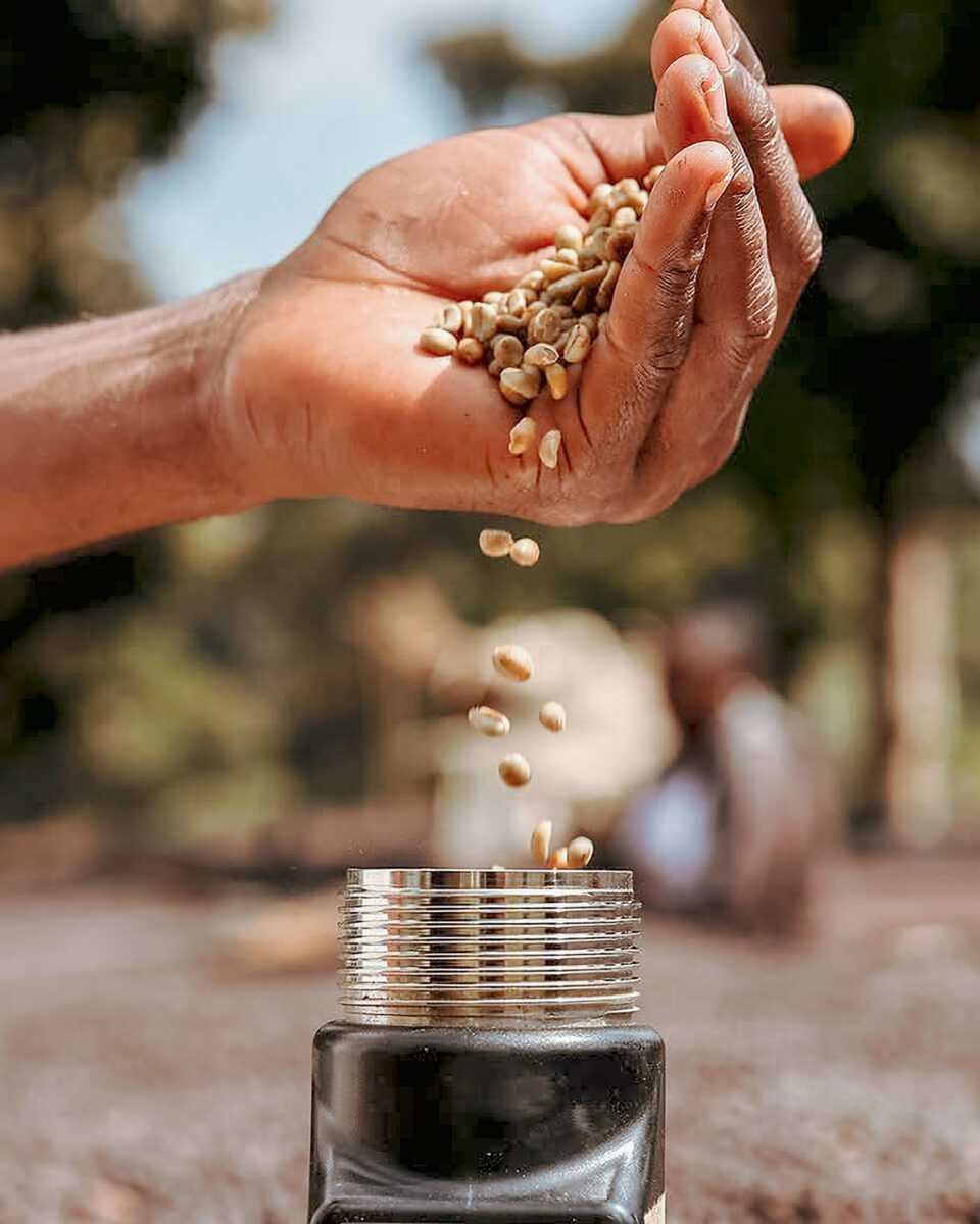 [Premium]Ethiopia Kenean Dukamo[Light roast]