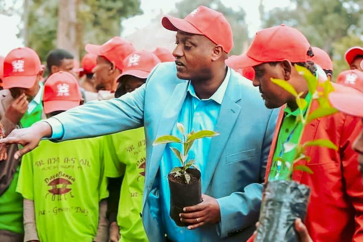 [Premium]Ethiopia Kenean Dukamo[Light roast]