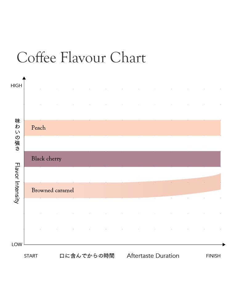 Ethiopia Sidamo Decaf [Medium roast]