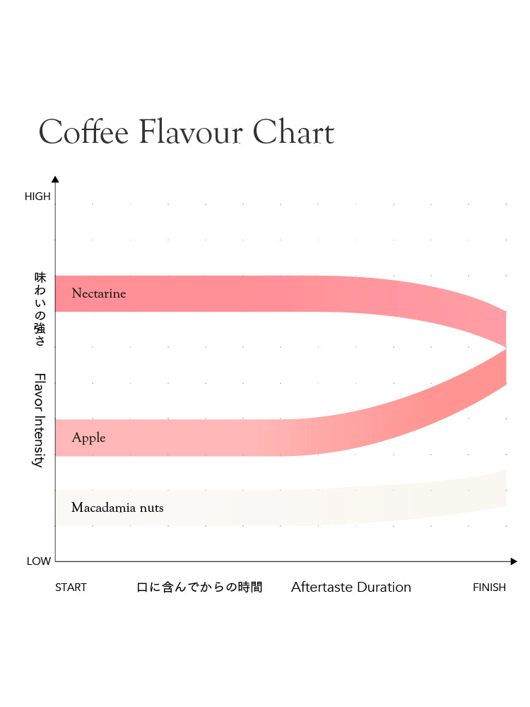 Seasonal Blend Fuyu Moe 2025 [Medium roast]