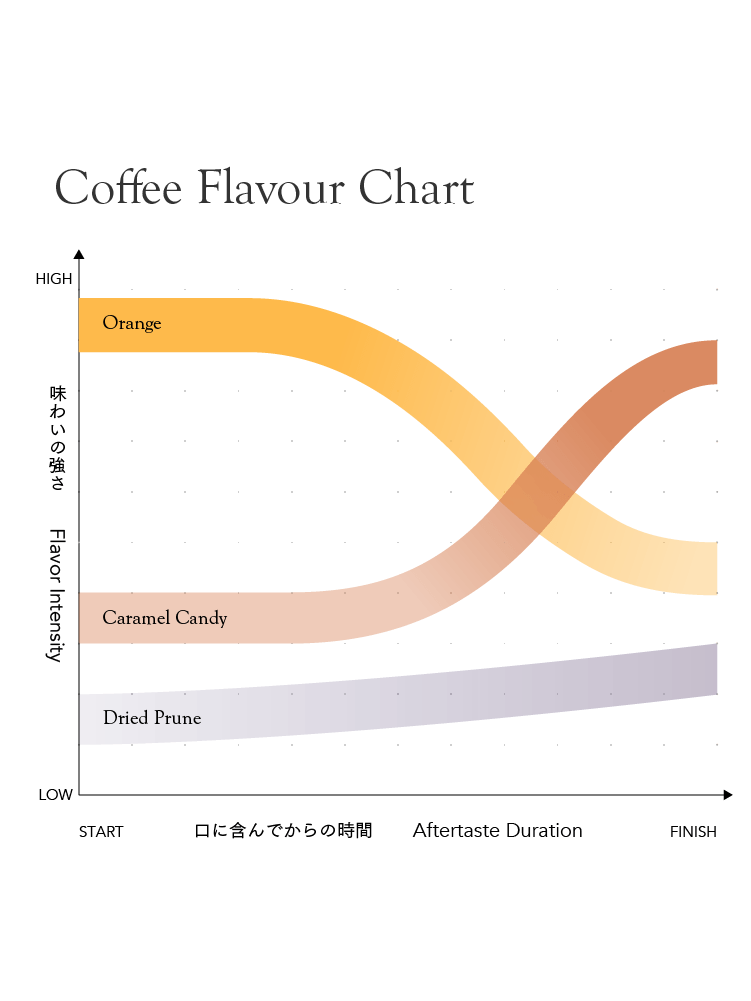 Kurasu House Blend Medium [Medium roast]