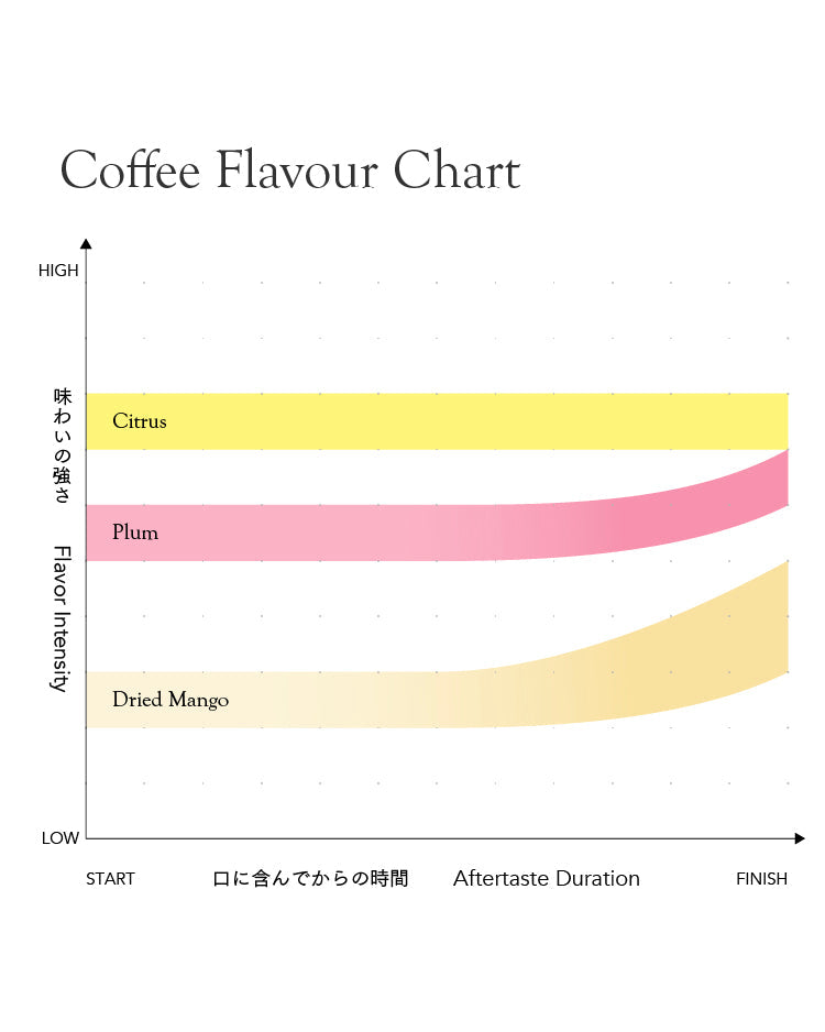 Indonesia Frinsa Estate Weninggalih [Light roast]