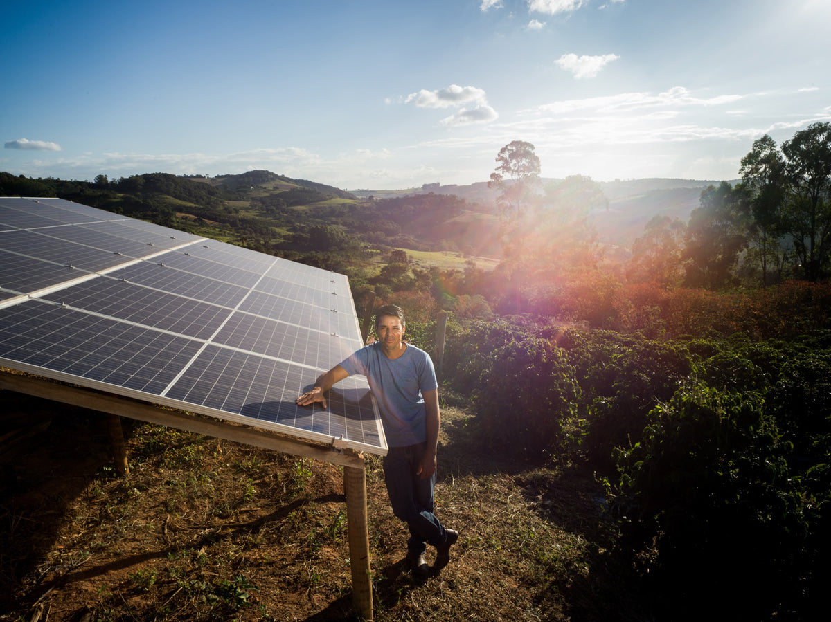 FAF Medium [Medium roast]