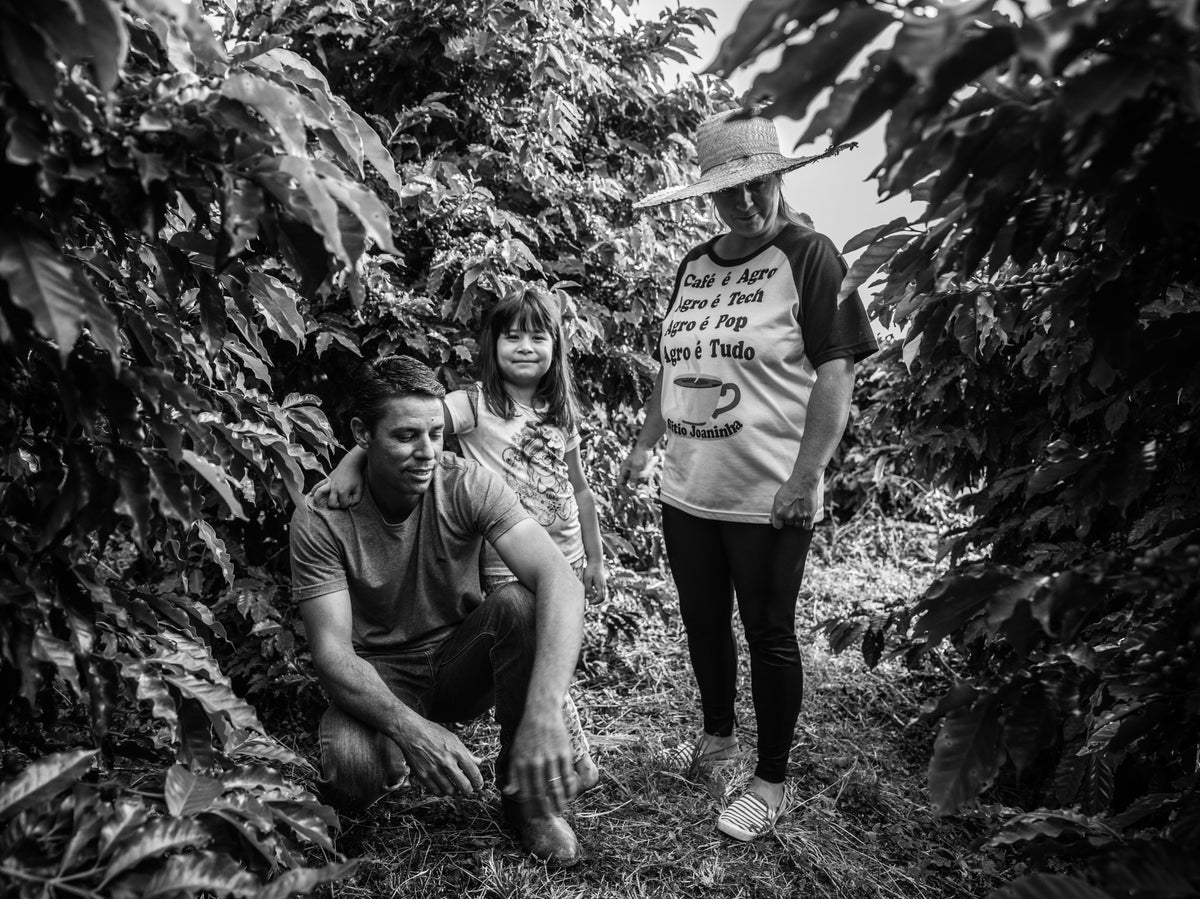 FAF Medium [Medium roast]